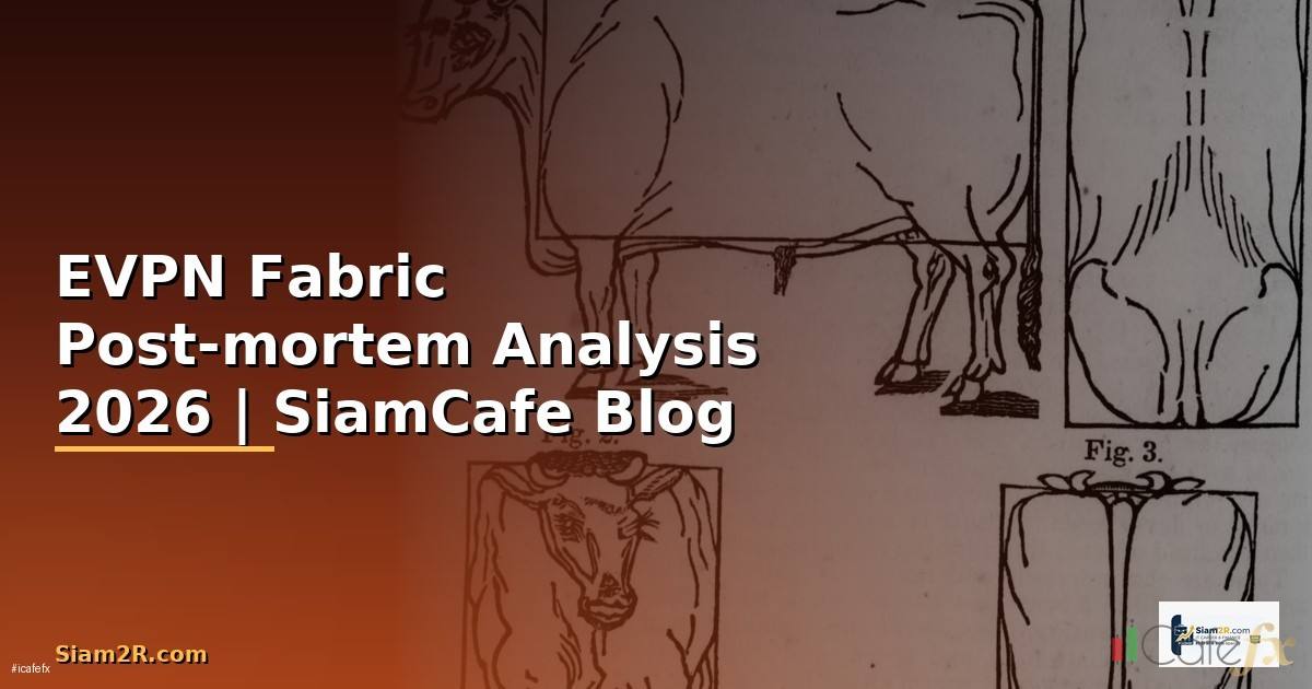 EVPN Fabric Post-mortem Analysis