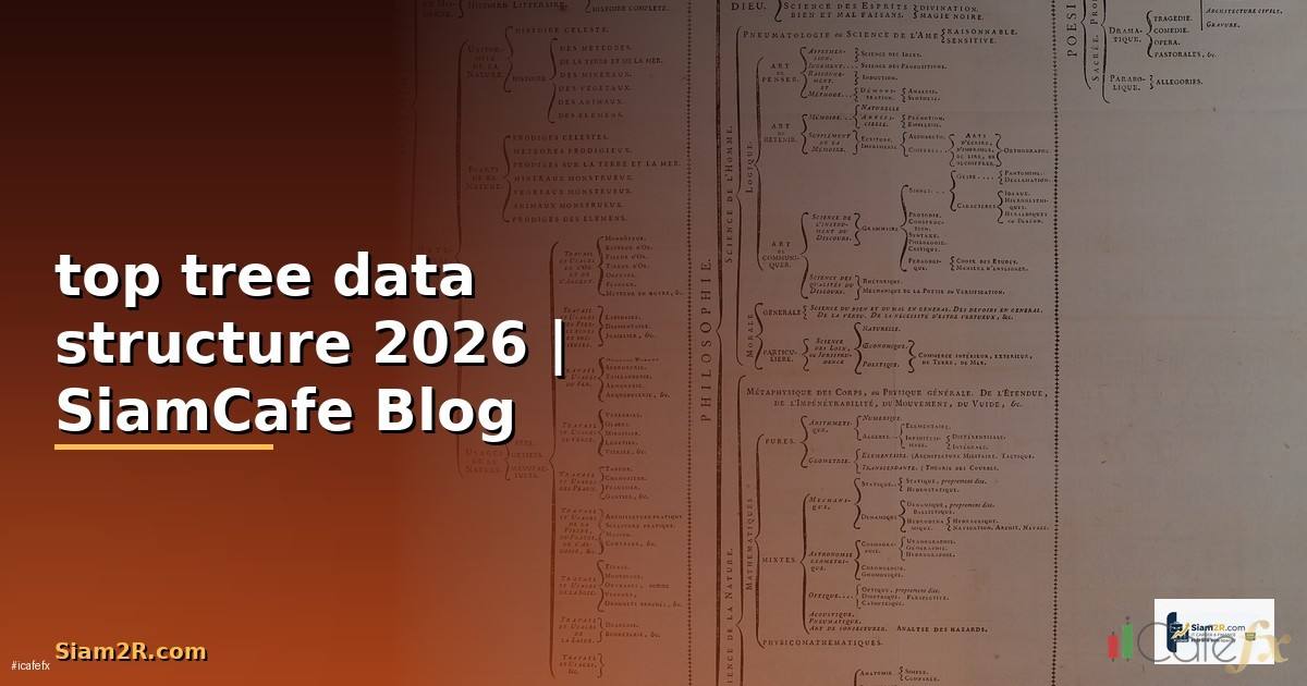 top tree data structure