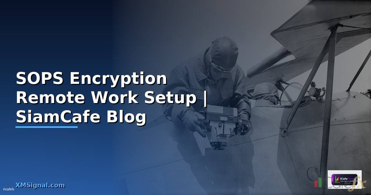SOPS Encryption Remote Work Setup