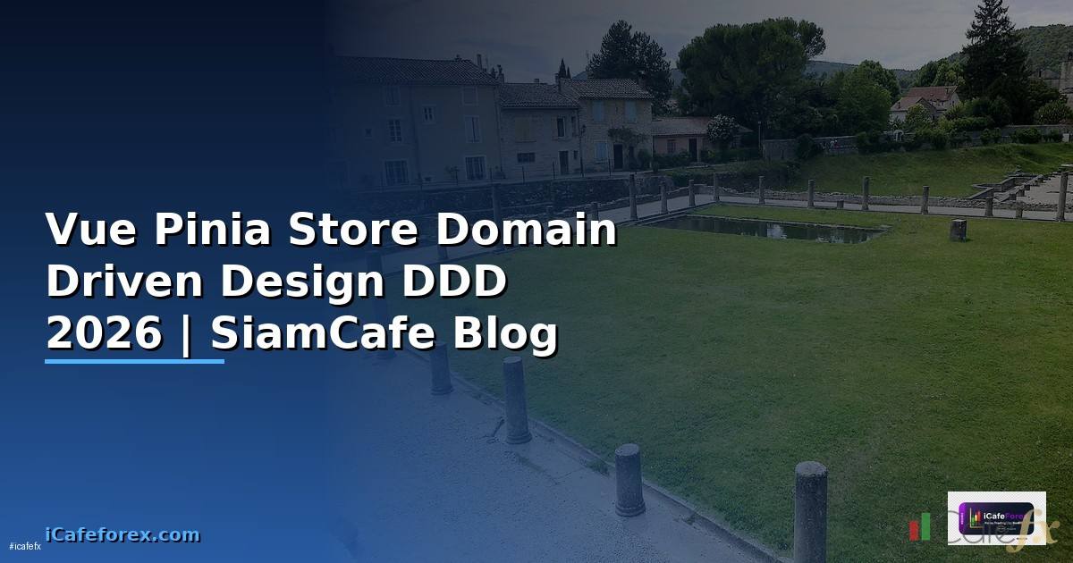 Vue Pinia Store Domain Driven Design DDD