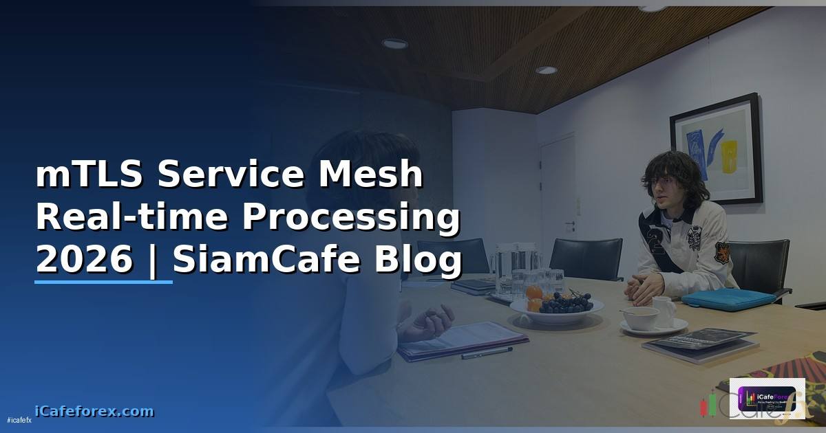 mTLS Service Mesh Real-time Processing —
