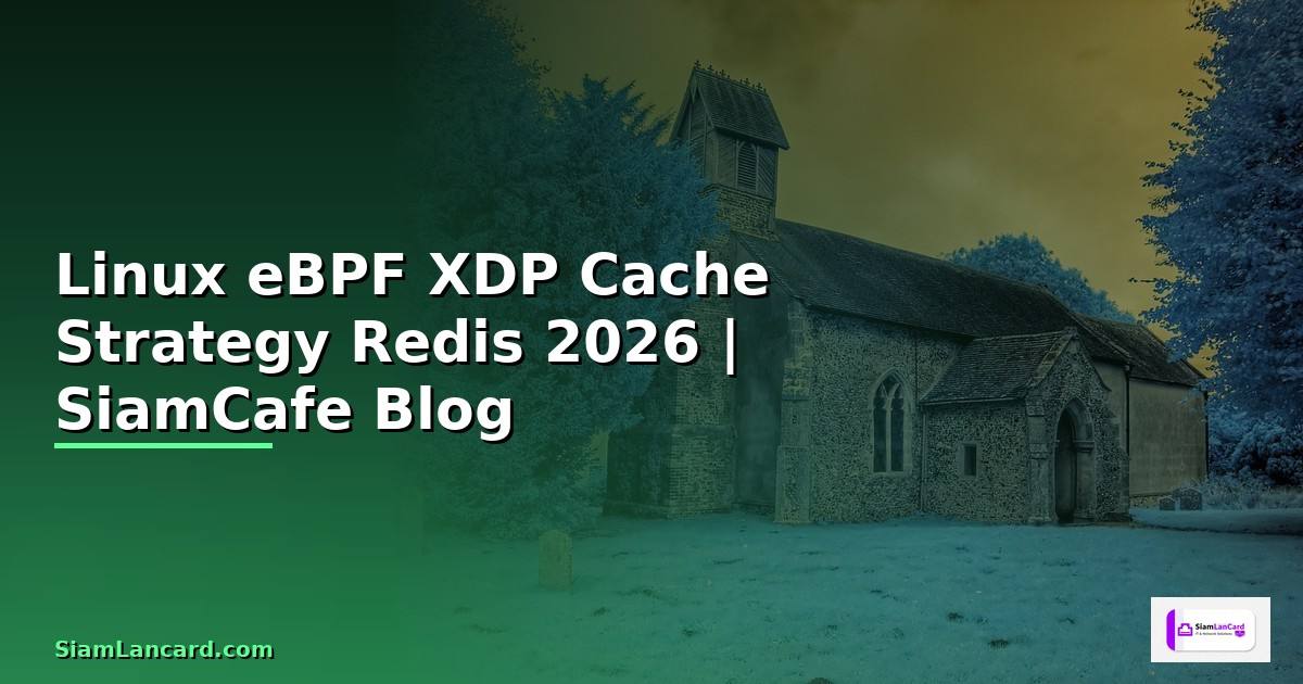 Linux eBPF XDP Cache Strategy Redis
