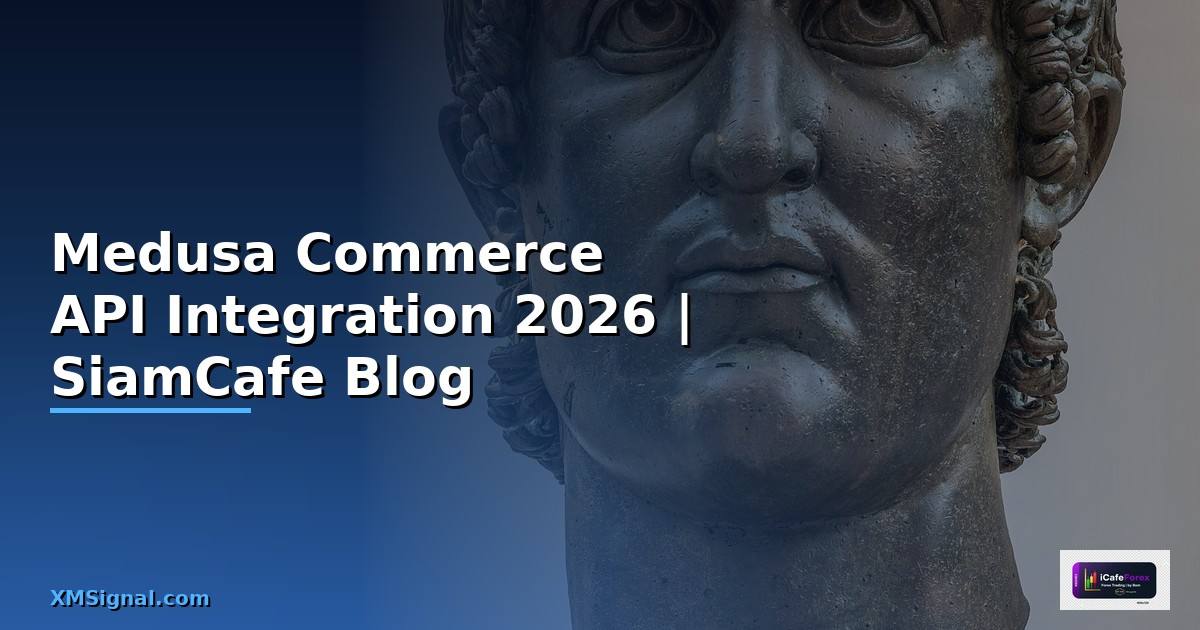 Medusa Commerce API Integration เชื่อมต่อระบบ
