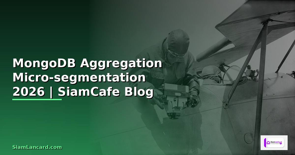 MongoDB Aggregation Micro-segmentation