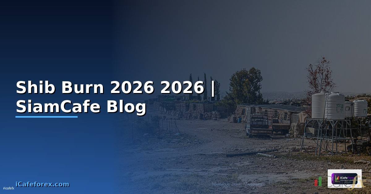 Shib Burn — คู่มือฉบับสมบูรณ์ 2026