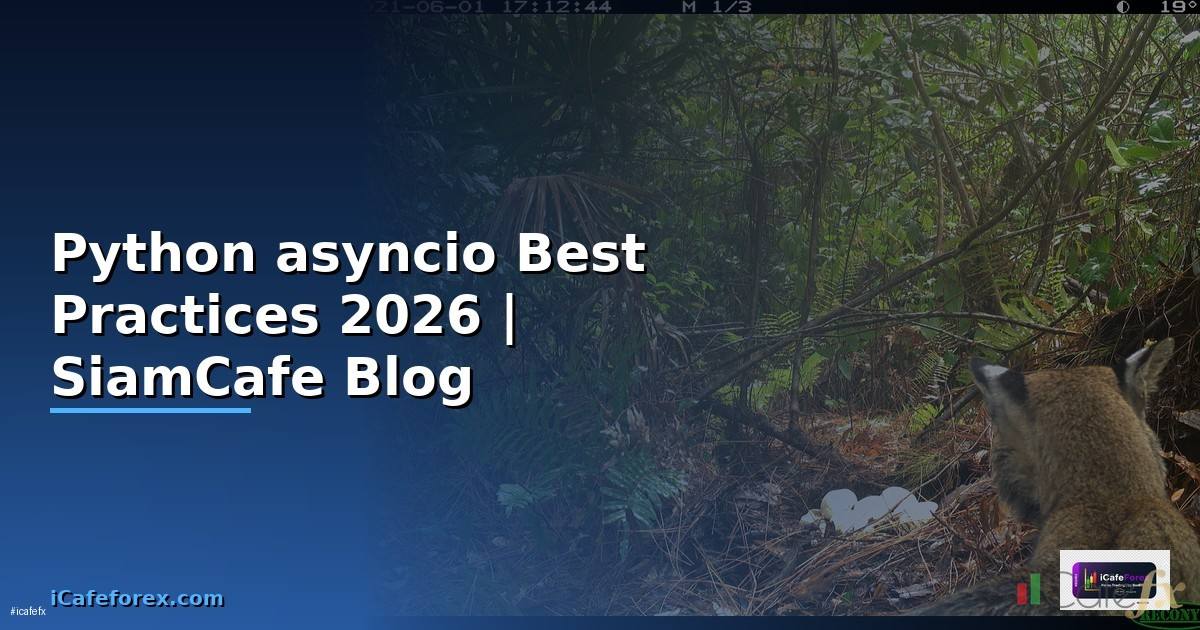 Python asyncio Best Practices ที่ต้องรู้