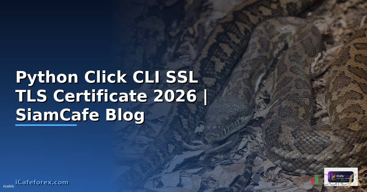 Python Click CLI SSL TLS Certificate