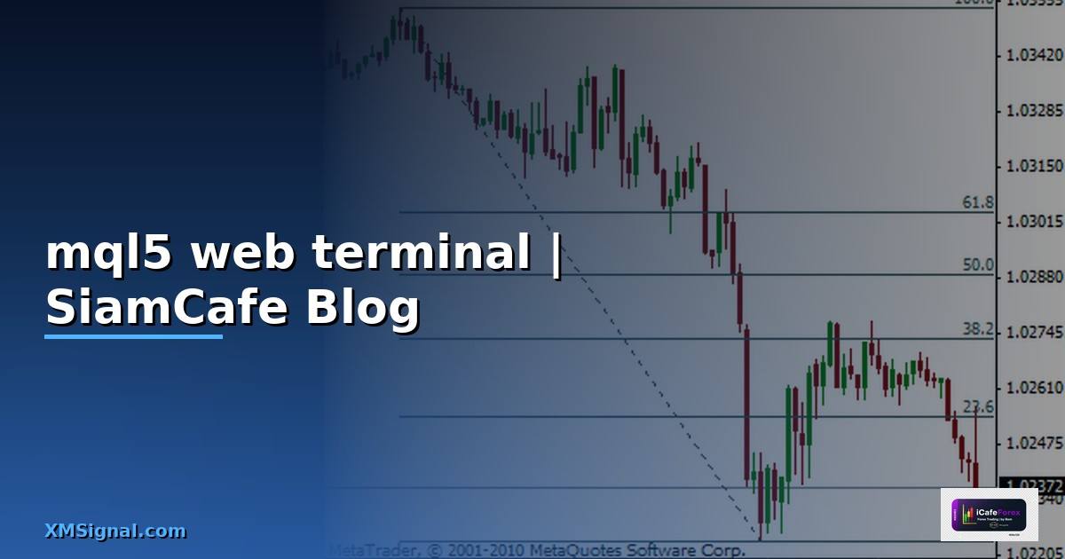 mql5 web terminal — ข้อมูลครบถ้วน 2026