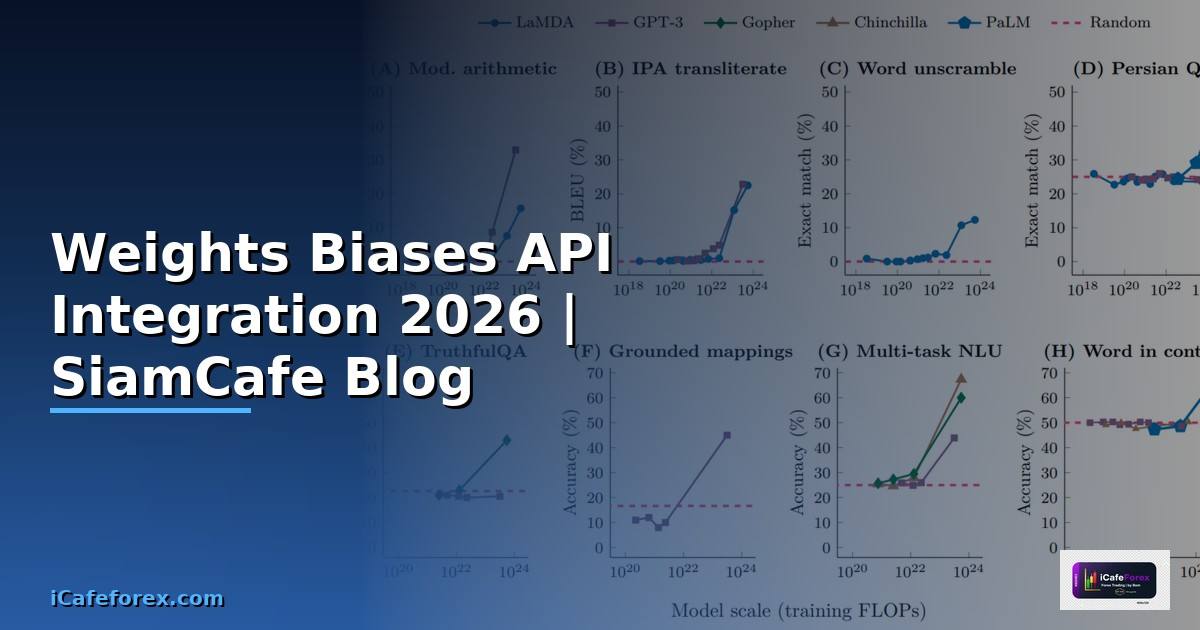 Weights Biases API Integration เชื่อมต่อระบบ