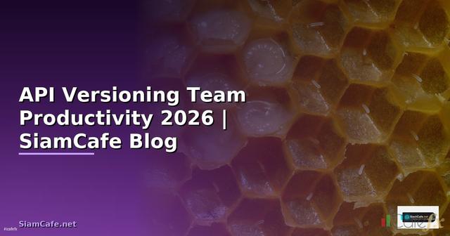 API Versioning Team Productivity