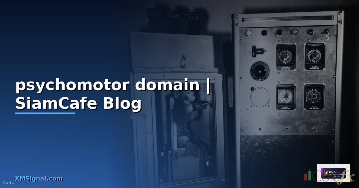 psychomotor domain คือ