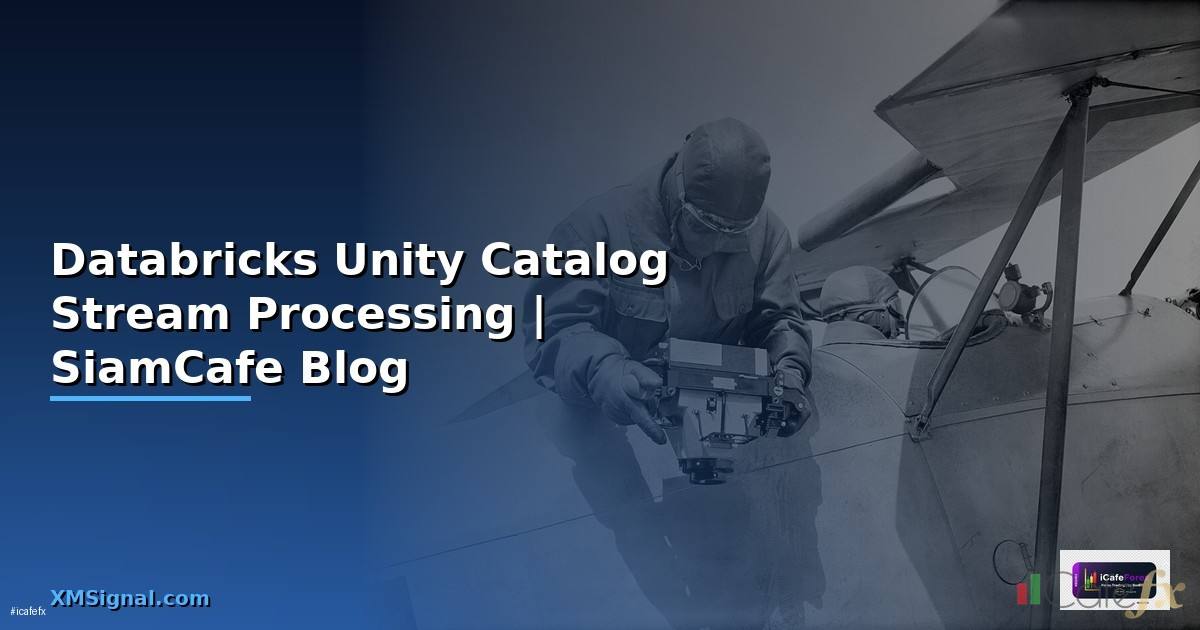 Databricks Unity Catalog Stream Processing