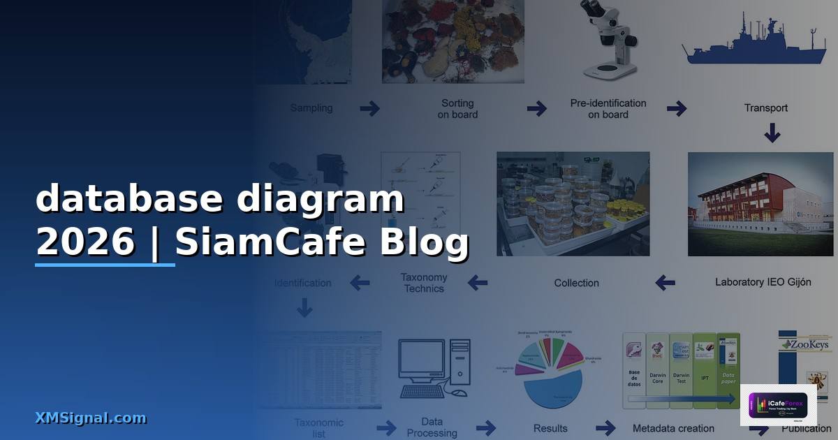 database diagram คือ