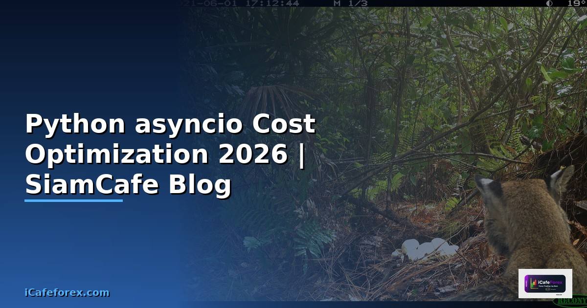 Python asyncio Cost Optimization ลดค่าใช้จ่าย