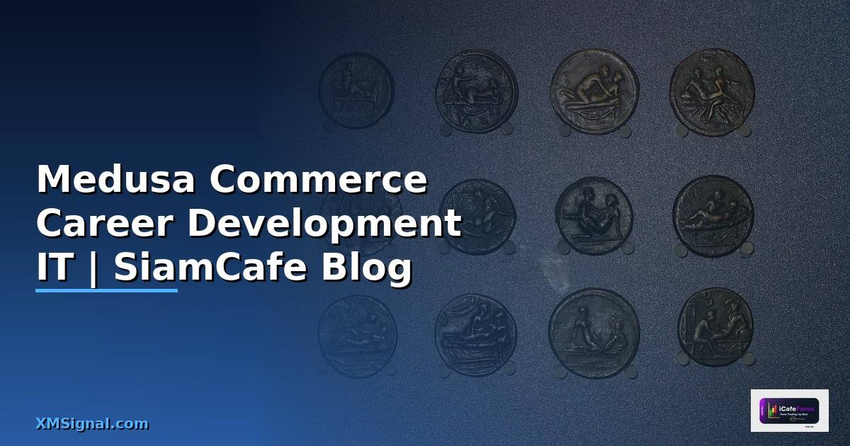 Medusa Commerce Career Development IT