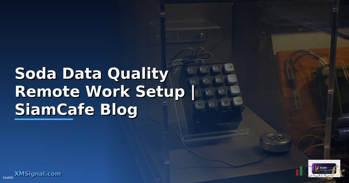 Soda Data Quality Remote Work Setup