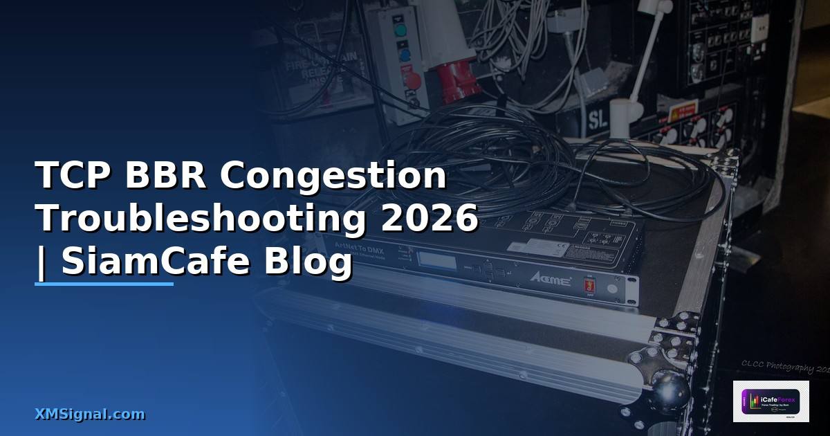 TCP BBR Congestion Troubleshooting แก้ปัญหา