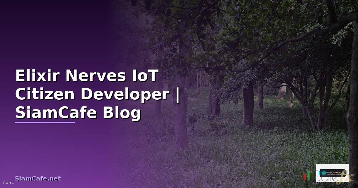 Elixir Nerves IoT Citizen Developer