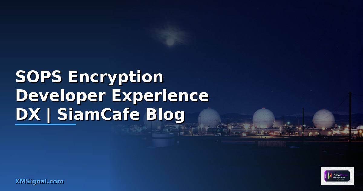 SOPS Encryption Developer Experience DX