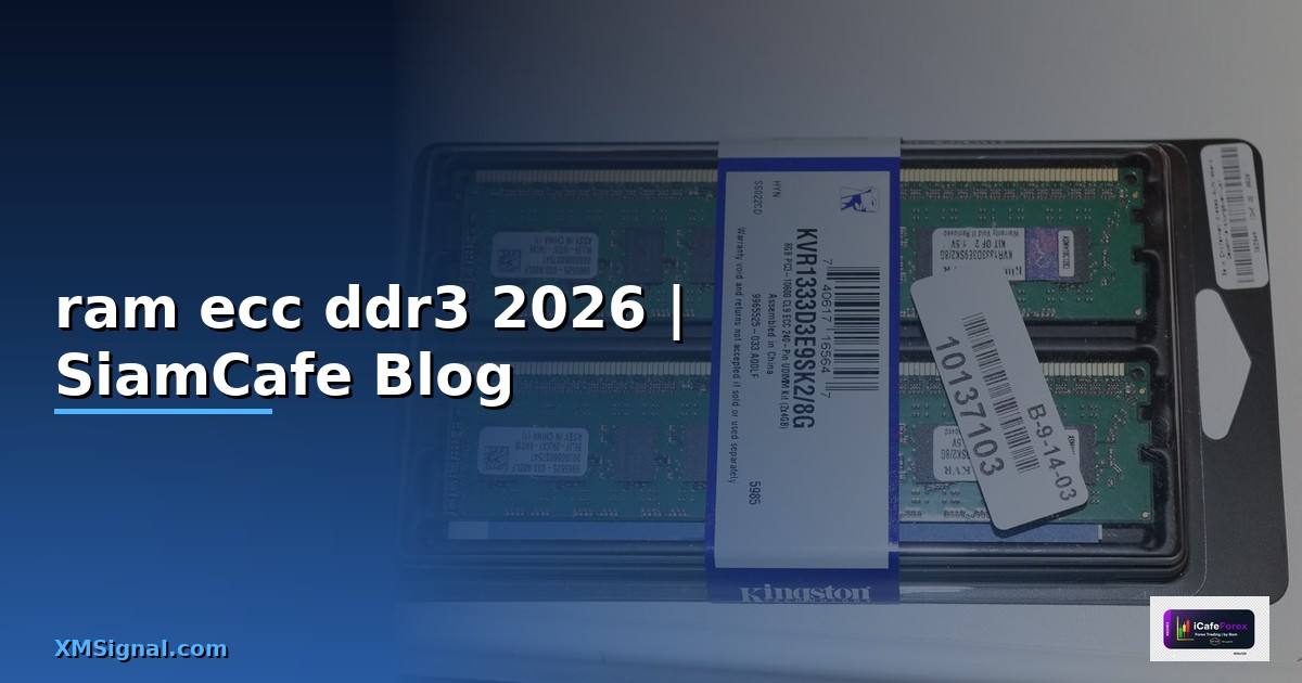 ram ecc ddr3 คือ — ทุกสิ่งที่ต้องรู้ในปี 2026