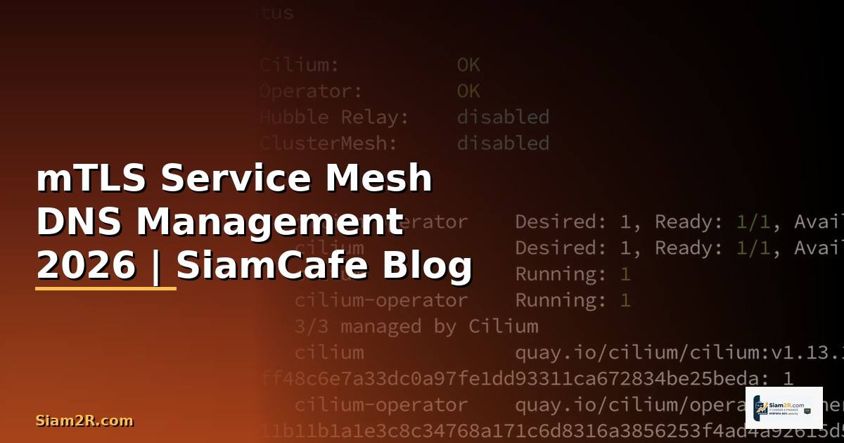 mTLS Service Mesh DNS Management