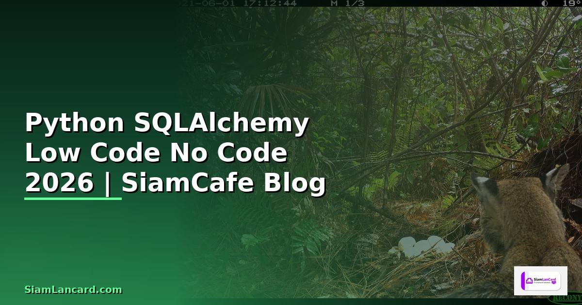 Python SQLAlchemy Low Code No Code
