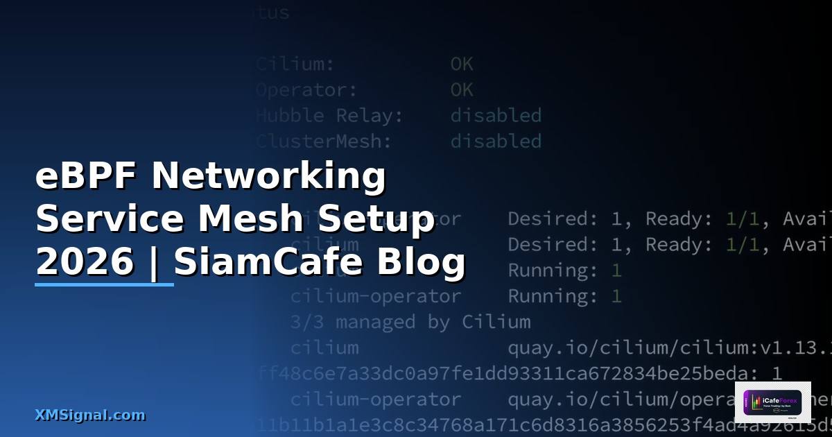 eBPF Networking Service Mesh Setup