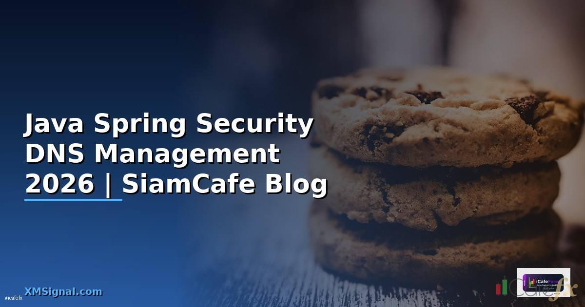 Java Spring Security DNS Management