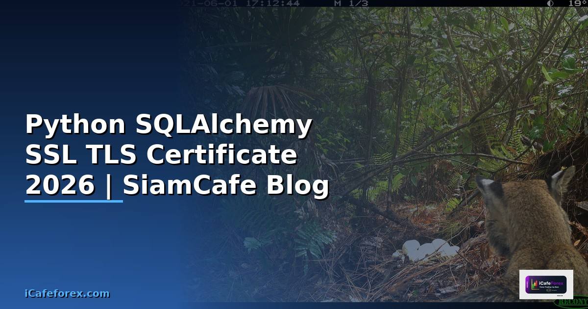 Python SQLAlchemy SSL TLS Certificate