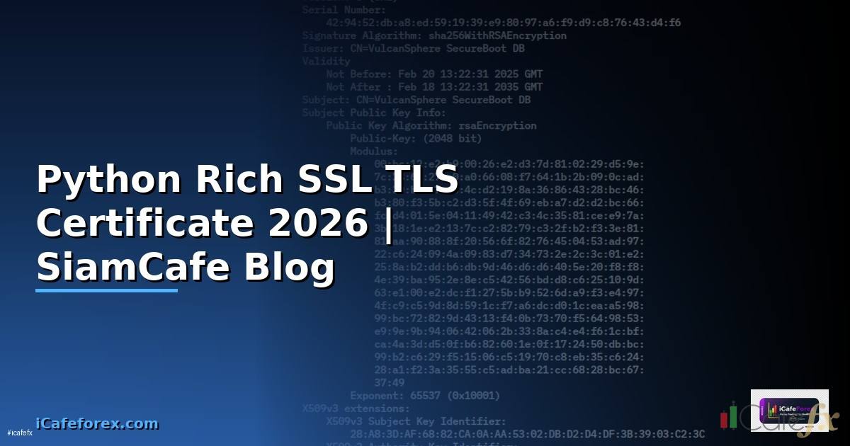 Python Rich SSL TLS Certificate