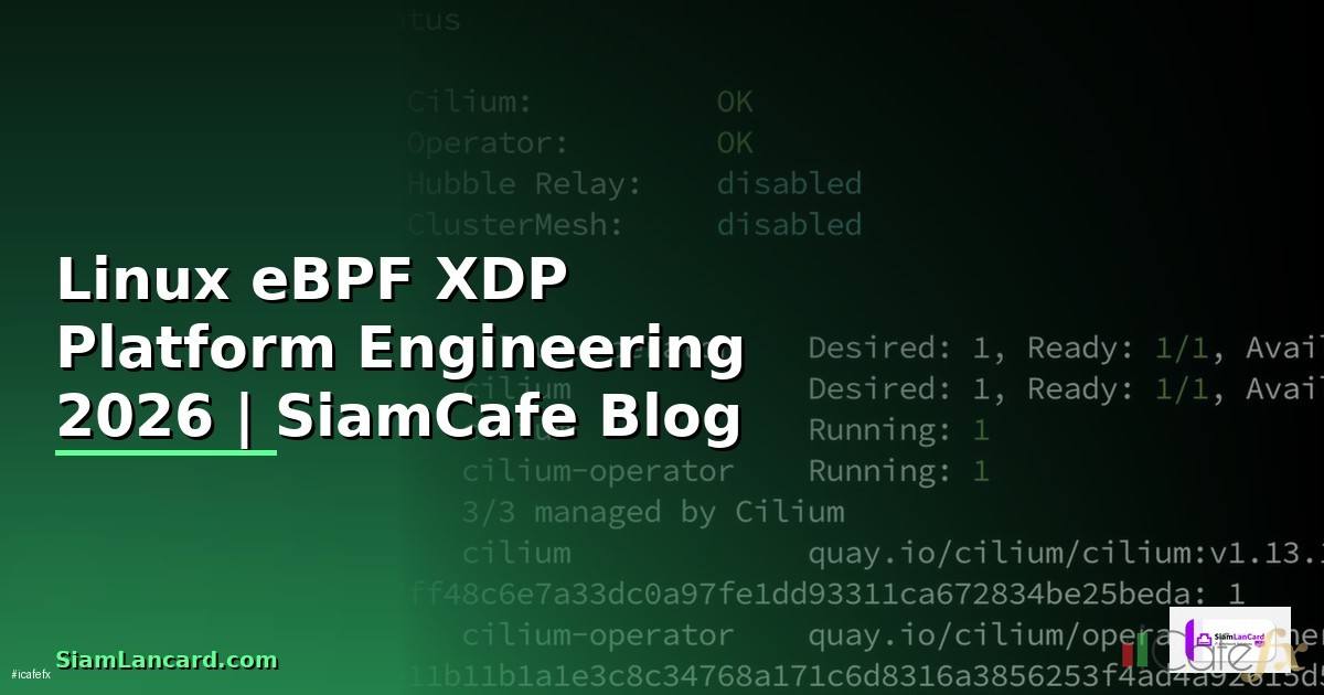 Linux eBPF XDP Platform Engineering