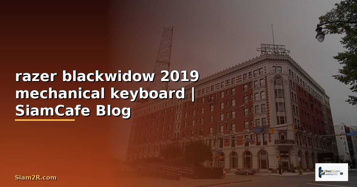 คีย์บอร์ด razer blackwidow 2019 mechanical keyboard