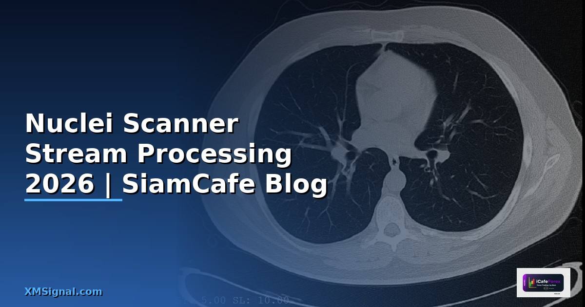 Nuclei Scanner Stream Processing