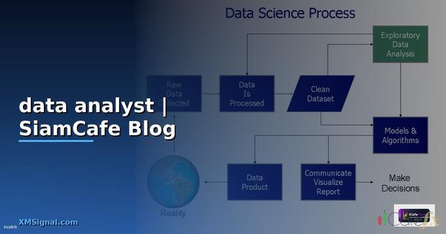 งาน data analyst ทําอะไรบ้าง