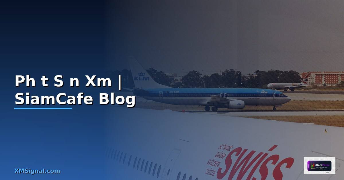 Phốt Sàn Xm — คู่มือฉบับสมบูรณ์ 2026