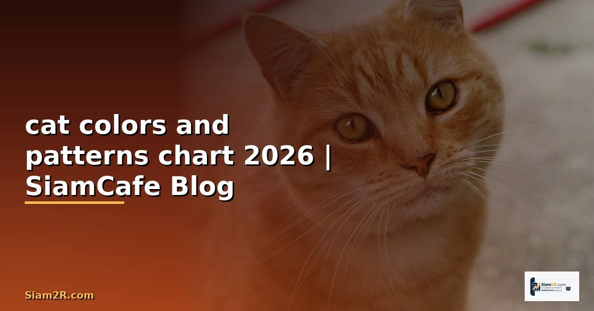 cat colors and patterns chart