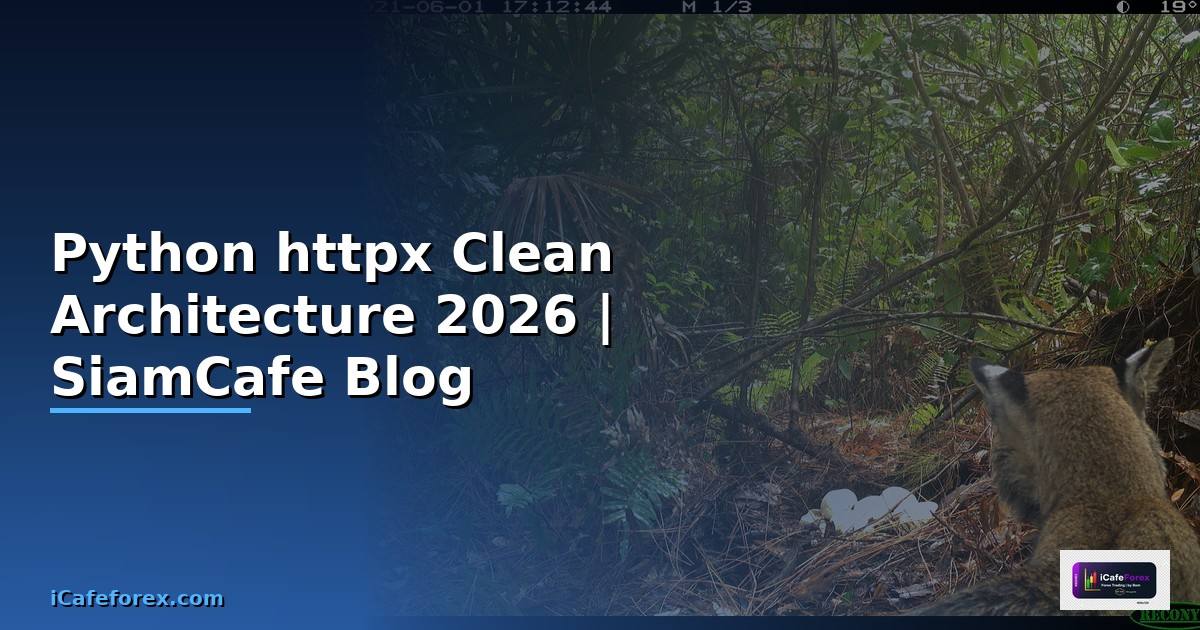 Python httpx Clean Architecture