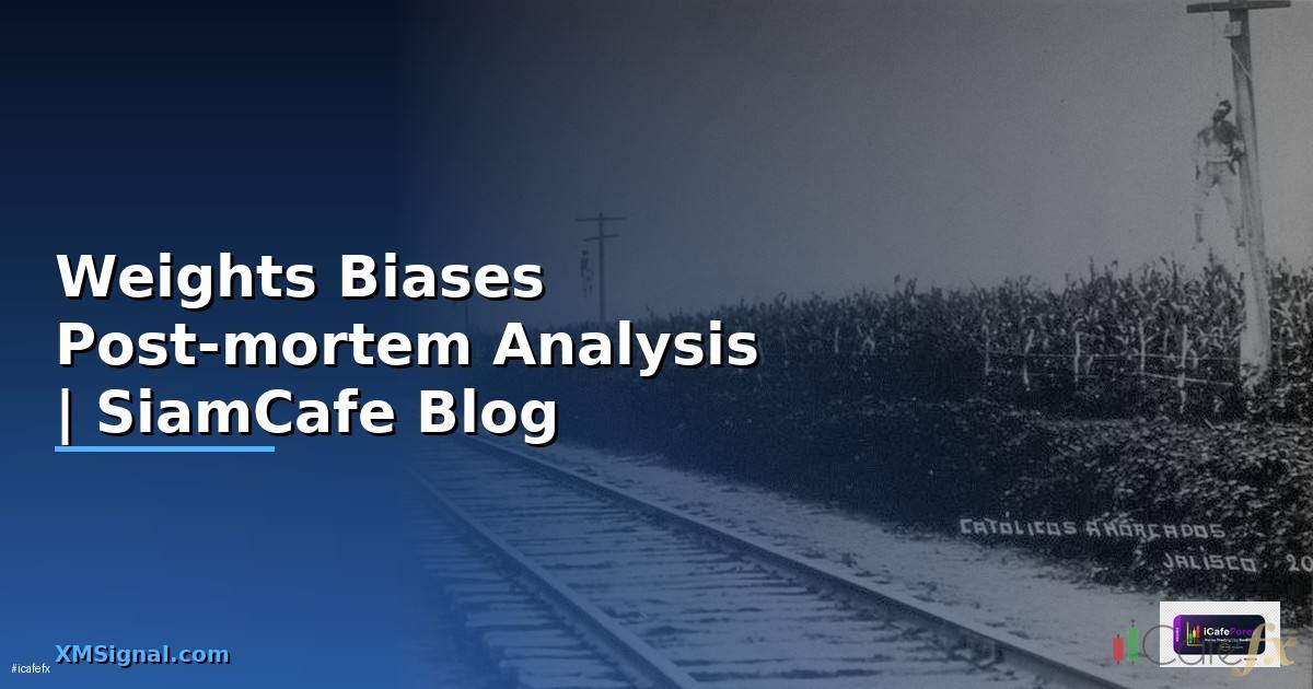 Weights Biases Post-mortem Analysis