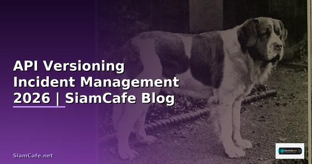 API Versioning Incident Management