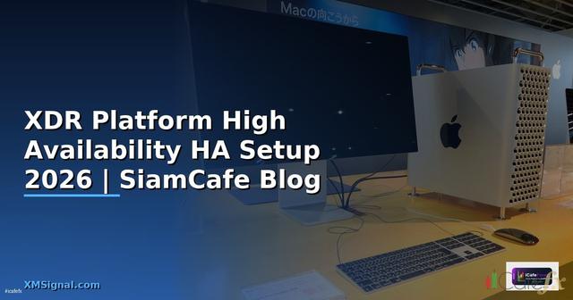 XDR Platform High Availability HA Setup
