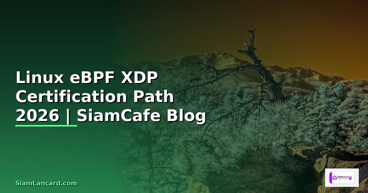 Linux eBPF XDP Certification Path