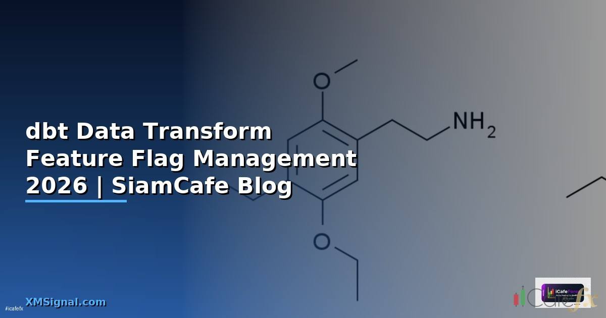 dbt Data Transform Feature Flag Management