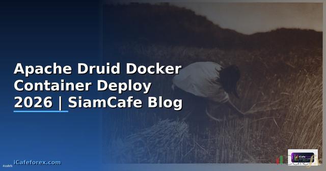 Apache Druid Docker Container Deploy