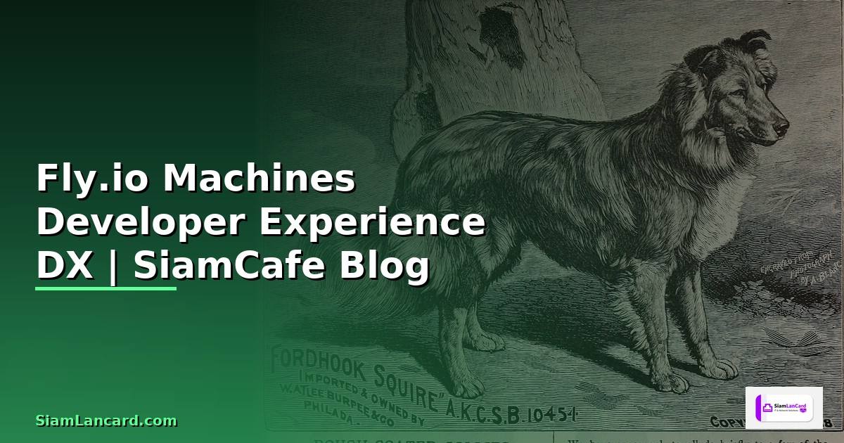 Fly.io Machines Developer Experience DX