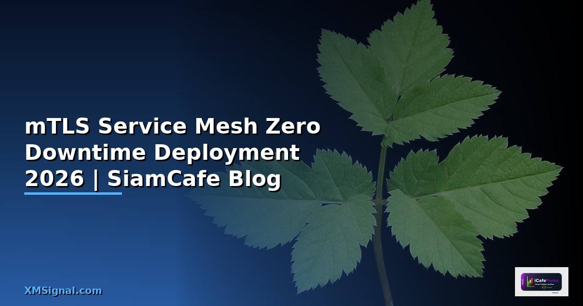 mTLS Service Mesh Zero Downtime Deployment
