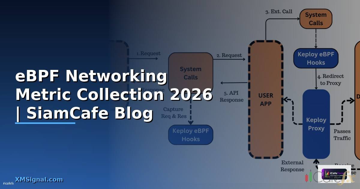 eBPF Networking Metric Collection