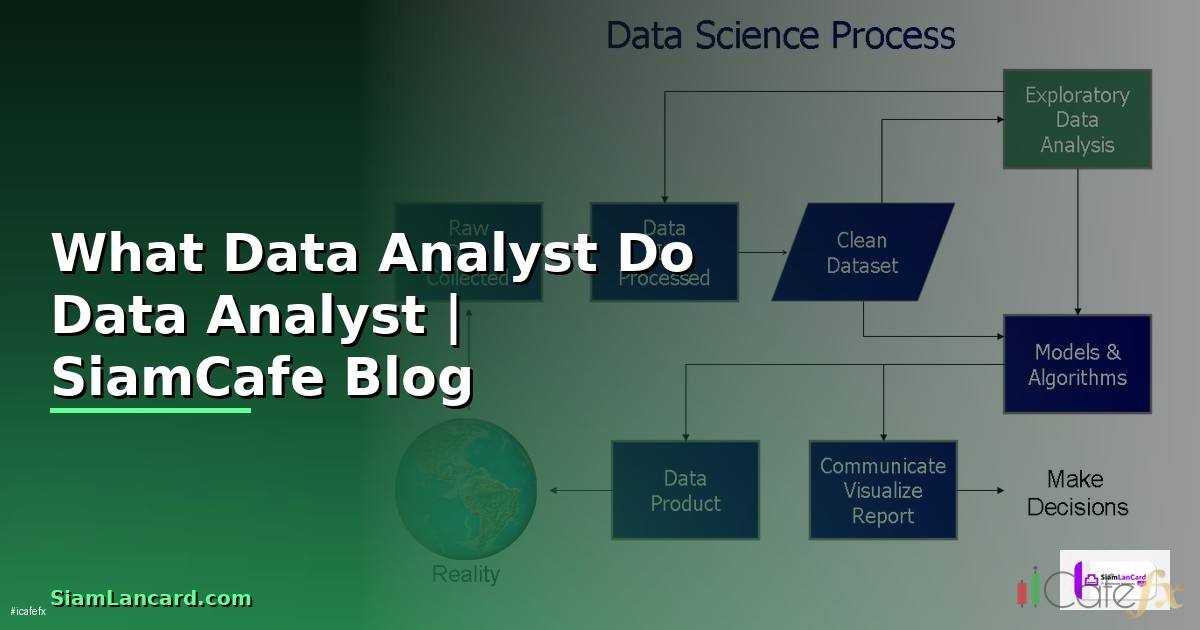 What Data Analyst Do — หน้าที่ของ Data Analyst