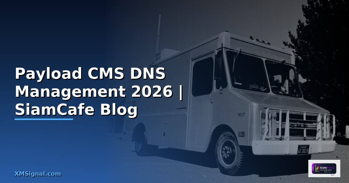 Payload CMS DNS Management
