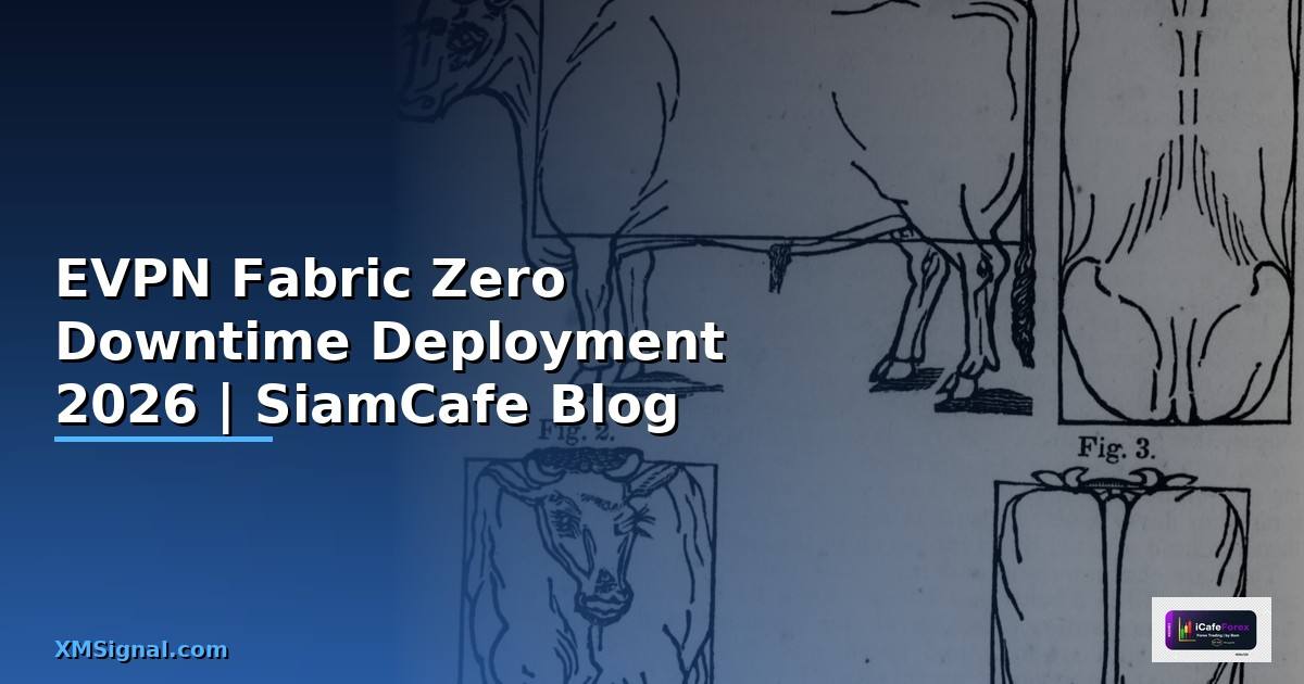 EVPN Fabric Zero Downtime Deployment — คู่มือฉบับสมบูรณ์ 2026