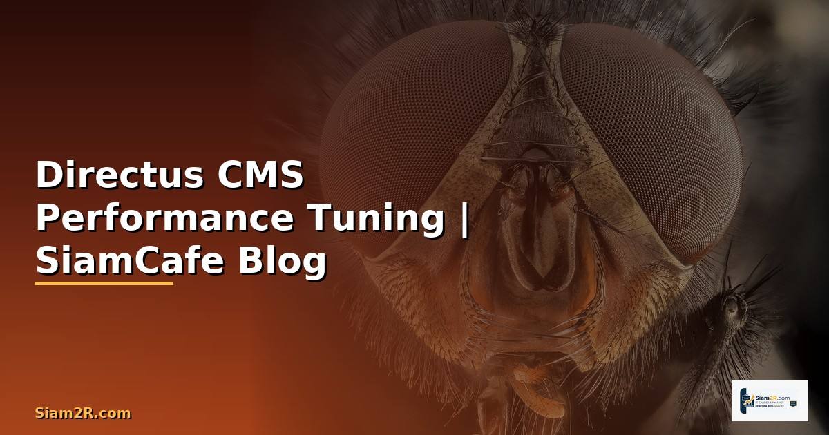 Directus CMS Performance Tuning เพิ่มความเร็ว